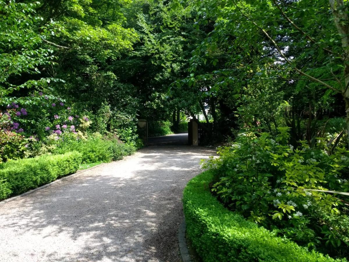 Gweebarra Bed & Breakfast Holywood  Dış mekan fotoğraf